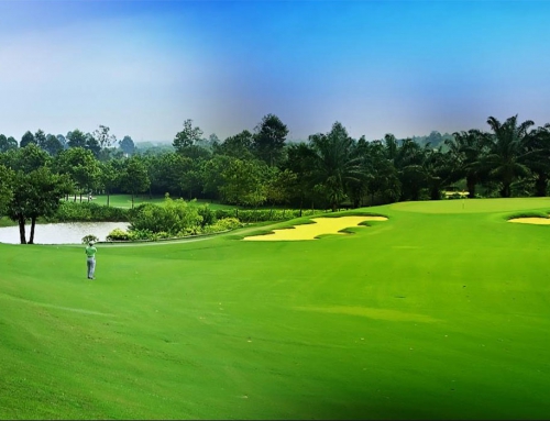 Sân golf 98ha Vĩnh Phúc